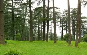 Mussoorie - Dhanaulti Tour Package